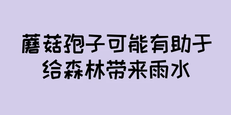 蘑菇孢子可能有助于给森林带来雨水