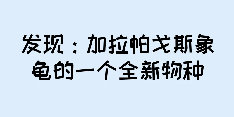 发现：加拉帕戈斯象龟的一个全新物种