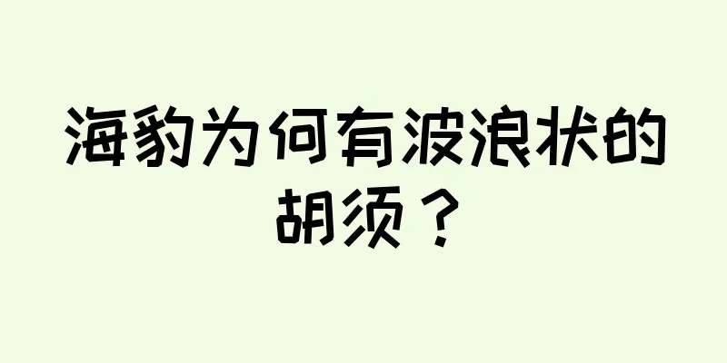 海豹为何有波浪状的胡须？