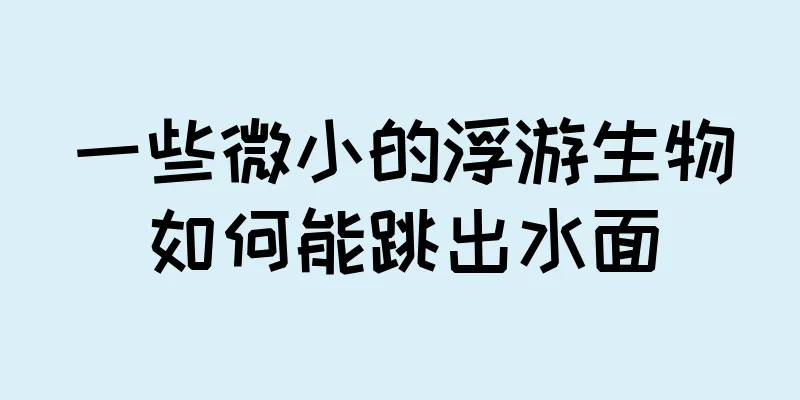 一些微小的浮游生物如何能跳出水面