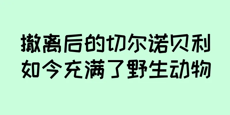 撤离后的切尔诺贝利如今充满了野生动物
