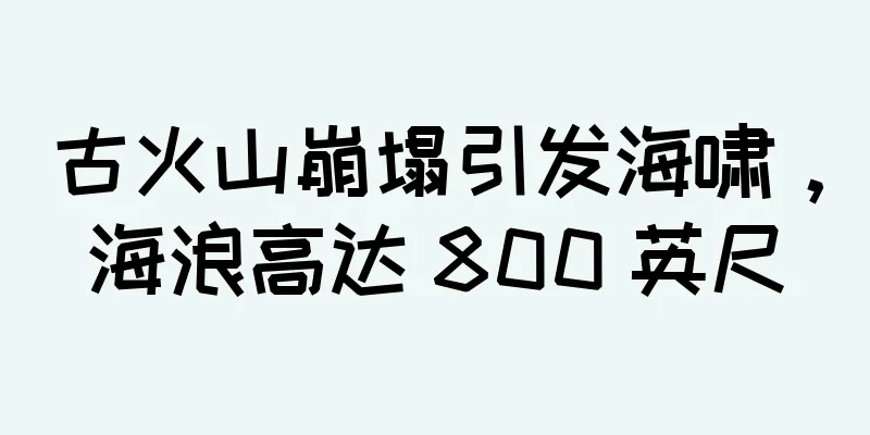 古火山崩塌引发海啸，海浪高达 800 英尺