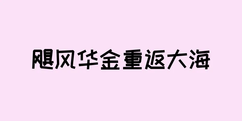飓风华金重返大海