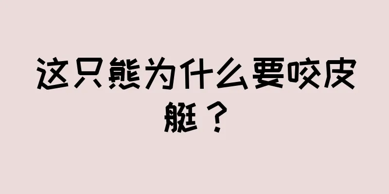 这只熊为什么要咬皮艇？