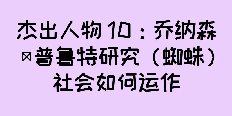 杰出人物 10：乔纳森·普鲁特研究（蜘蛛）社会如何运作