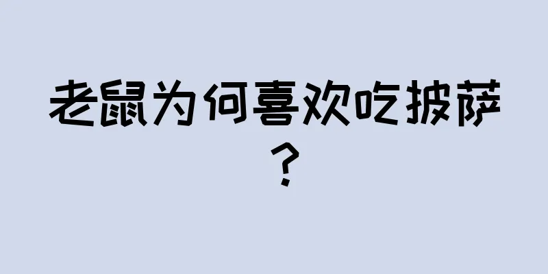 老鼠为何喜欢吃披萨？
