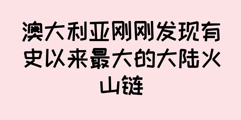 澳大利亚刚刚发现有史以来最大的大陆火山链