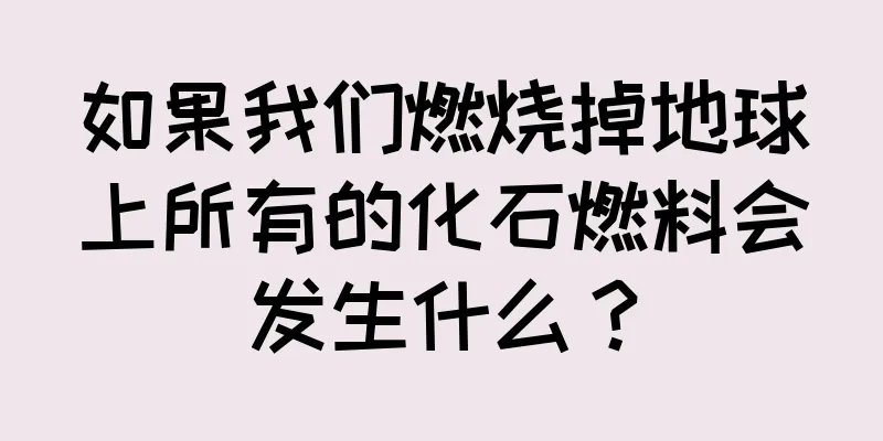 如果我们燃烧掉地球上所有的化石燃料会发生什么？