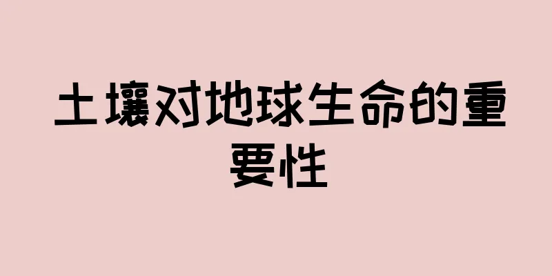 土壤对地球生命的重要性