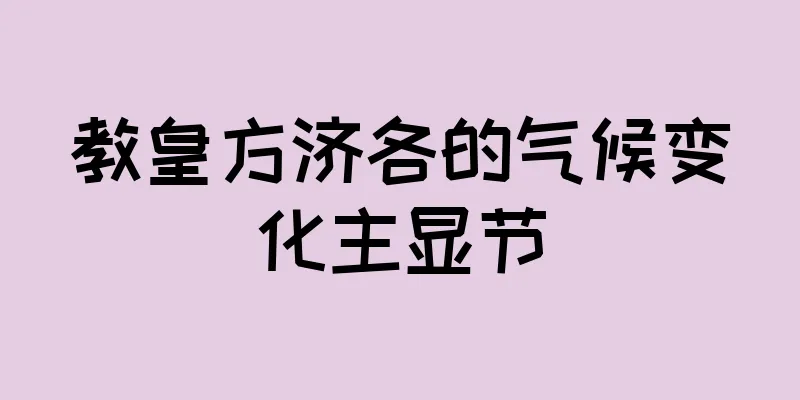 教皇方济各的气候变化主显节