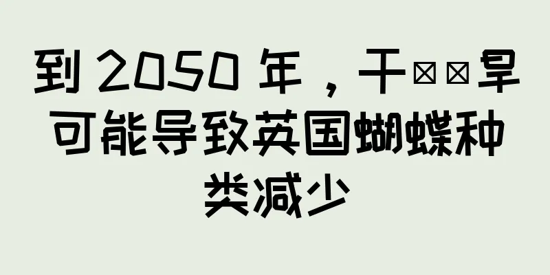 到 2050 年，干​​旱可能导致英国蝴蝶种类减少