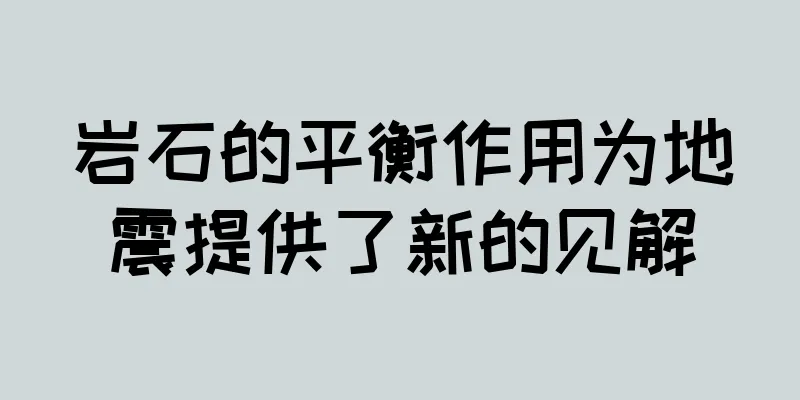 岩石的平衡作用为地震提供了新的见解