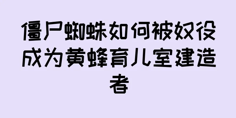 僵尸蜘蛛如何被奴役成为黄蜂育儿室建造者