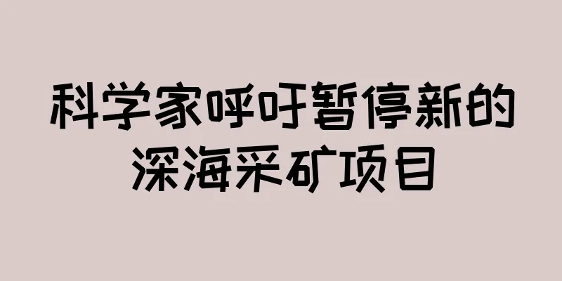 科学家呼吁暂停新的深海采矿项目