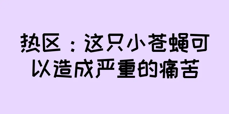 热区：这只小苍蝇可以造成严重的痛苦