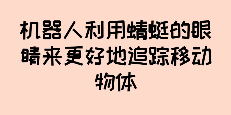 机器人利用蜻蜓的眼睛来更好地追踪移动物体