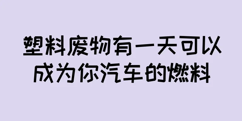 塑料废物有一天可以成为你汽车的燃料