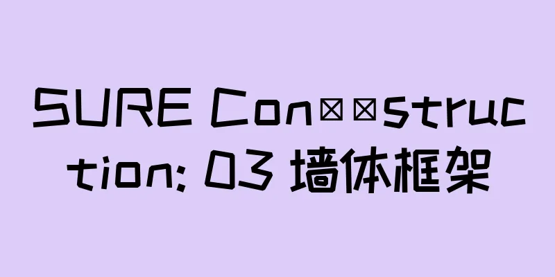 SURE Con​​struction: 03 墙体框架