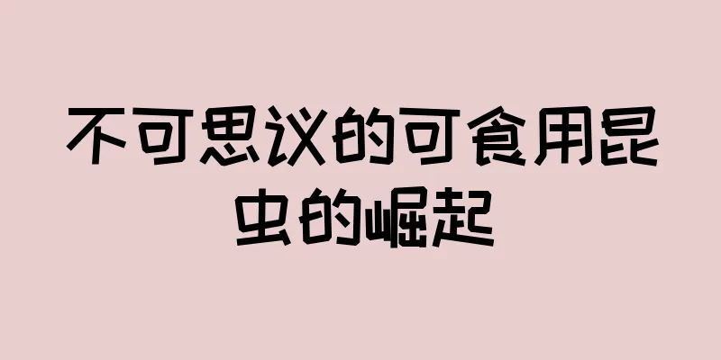 不可思议的可食用昆虫的崛起