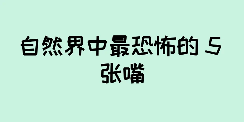 自然界中最恐怖的 5 张嘴