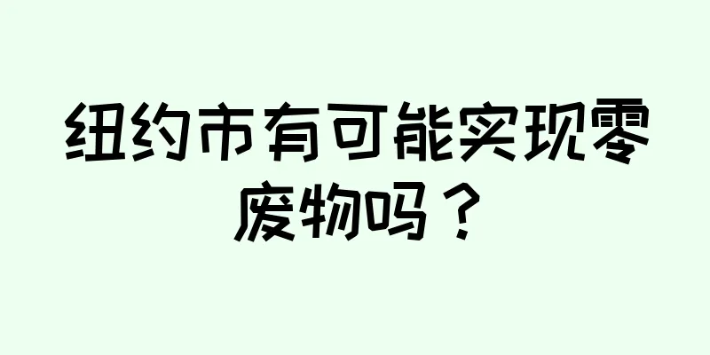 纽约市有可能实现零废物吗？