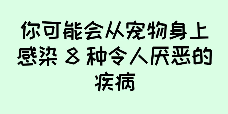 你可能会从宠物身上感染 8 种令人厌恶的疾病