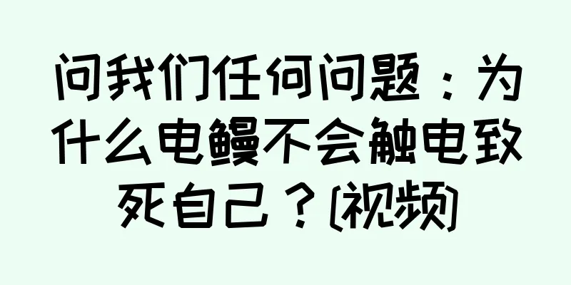 问我们任何问题：为什么电鳗不会触电致死自己？[视频]