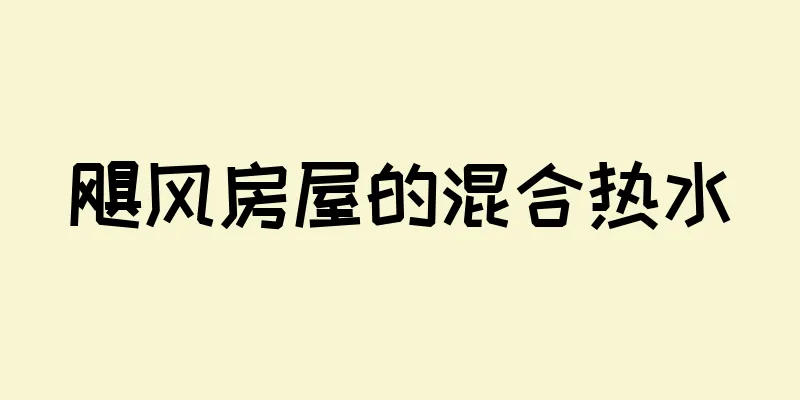 飓风房屋的混合热水