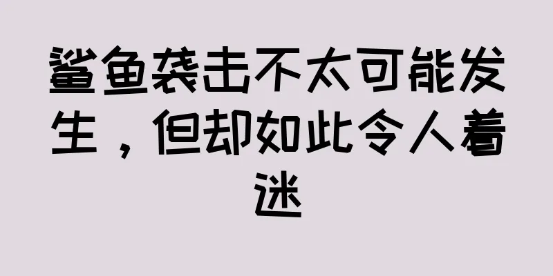 鲨鱼袭击不太可能发生，但却如此令人着迷