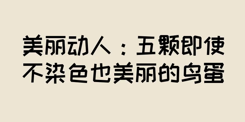 美丽动人：五颗即使不染色也美丽的鸟蛋