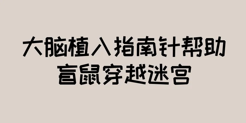 大脑植入指南针帮助盲鼠穿越迷宫