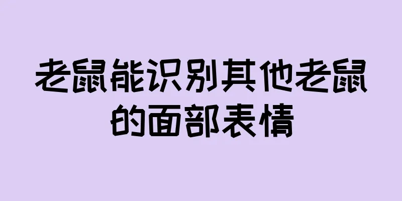 老鼠能识别其他老鼠的面部表情