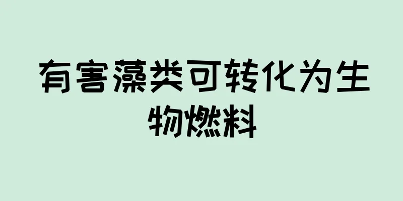 有害藻类可转化为生物燃料