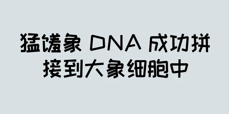 猛犸象 DNA 成功拼接到大象细胞中