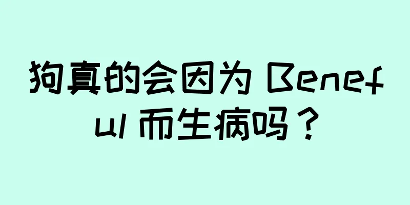 狗真的会因为 Beneful 而生病吗？