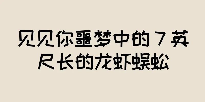 见见你噩梦中的 7 英尺长的龙虾蜈蚣