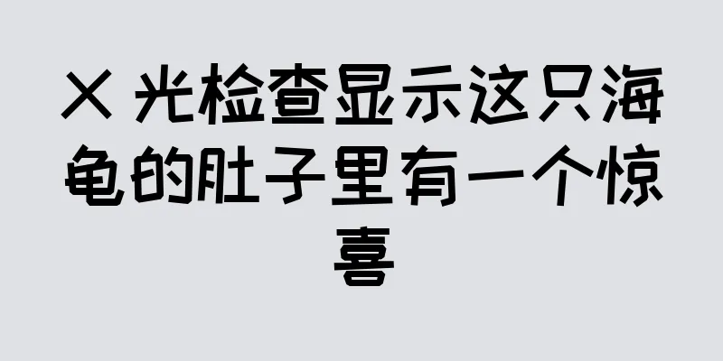 X 光检查显示这只海龟的肚子里有一个惊喜