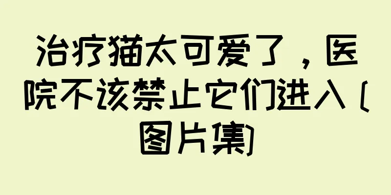治疗猫太可爱了，医院不该禁止它们进入 [图片集]