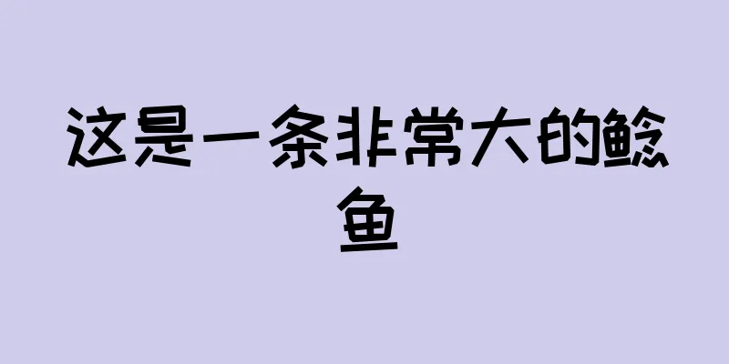 这是一条非常大的鲶鱼