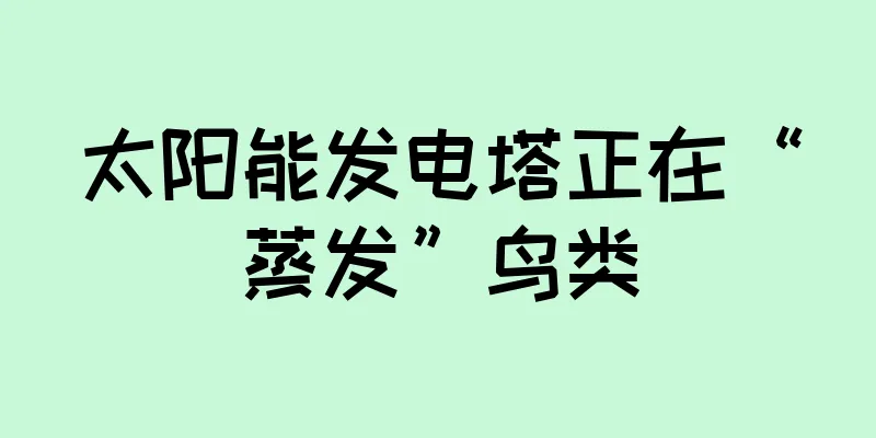 太阳能发电塔正在“蒸发”鸟类