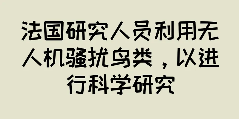法国研究人员利用无人机骚扰鸟类，以进行科学研究