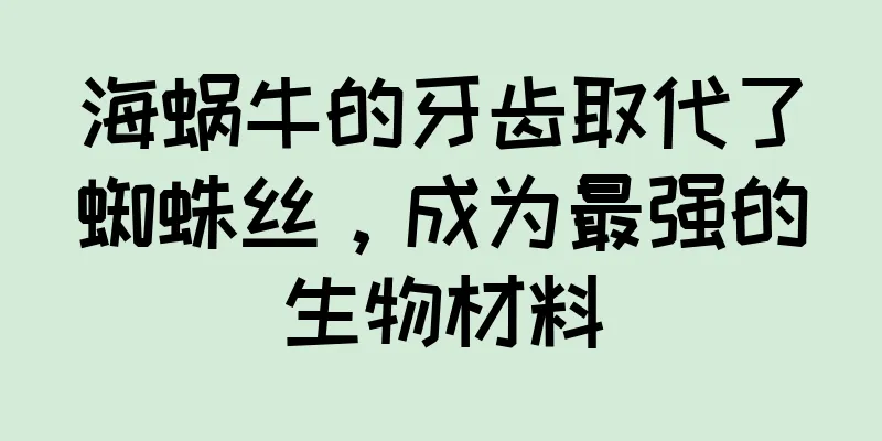 海蜗牛的牙齿取代了蜘蛛丝，成为最强的生物材料