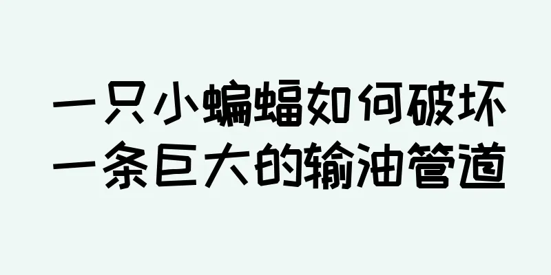 一只小蝙蝠如何破坏一条巨大的输油管道