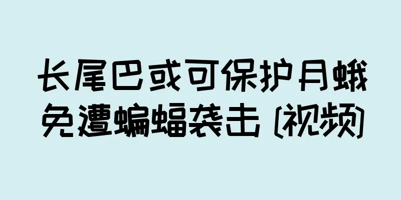 长尾巴或可保护月蛾免遭蝙蝠袭击 [视频]