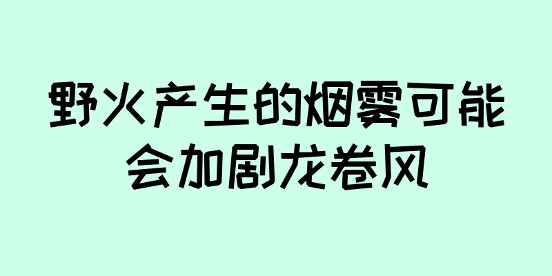 野火产生的烟雾可能会加剧龙卷风