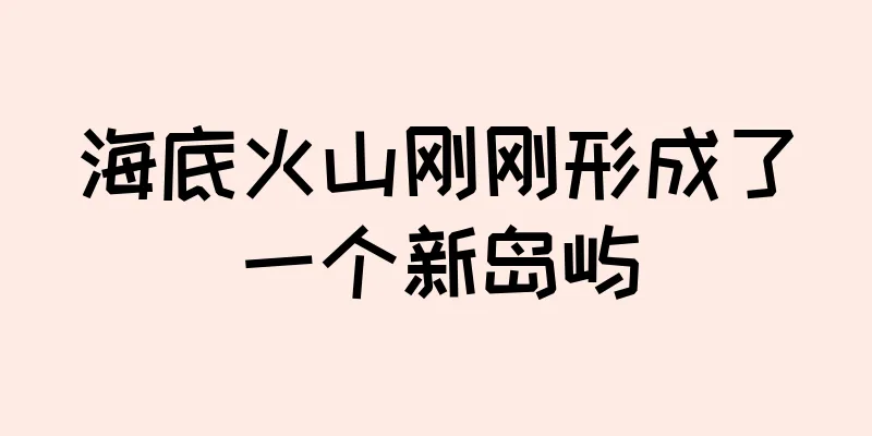 海底火山刚刚形成了一个新岛屿
