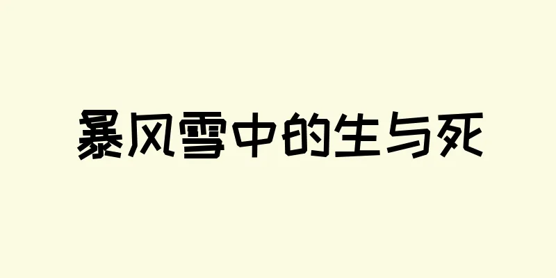 暴风雪中的生与死