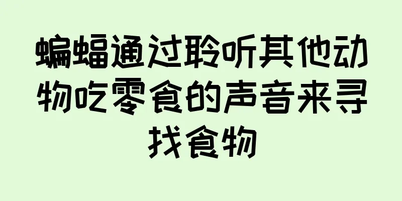 蝙蝠通过聆听其他动物吃零食的声音来寻找食物