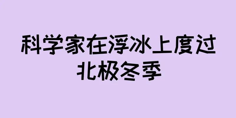 科学家在浮冰上度过北极冬季