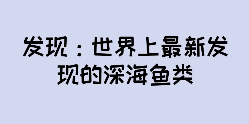 发现：世界上最新发现的深海鱼类